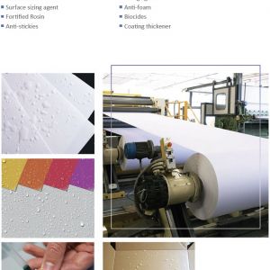 Pulp & Paper Chemicals