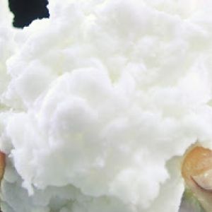 Paper and Pulp Chemicals