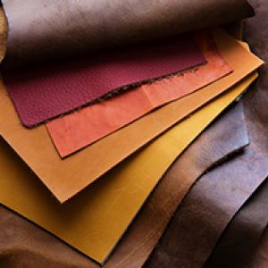 Leather and Tannery