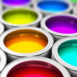 Paint & Coating