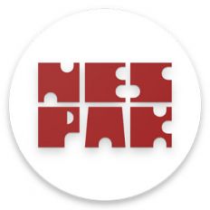 NES PAK 